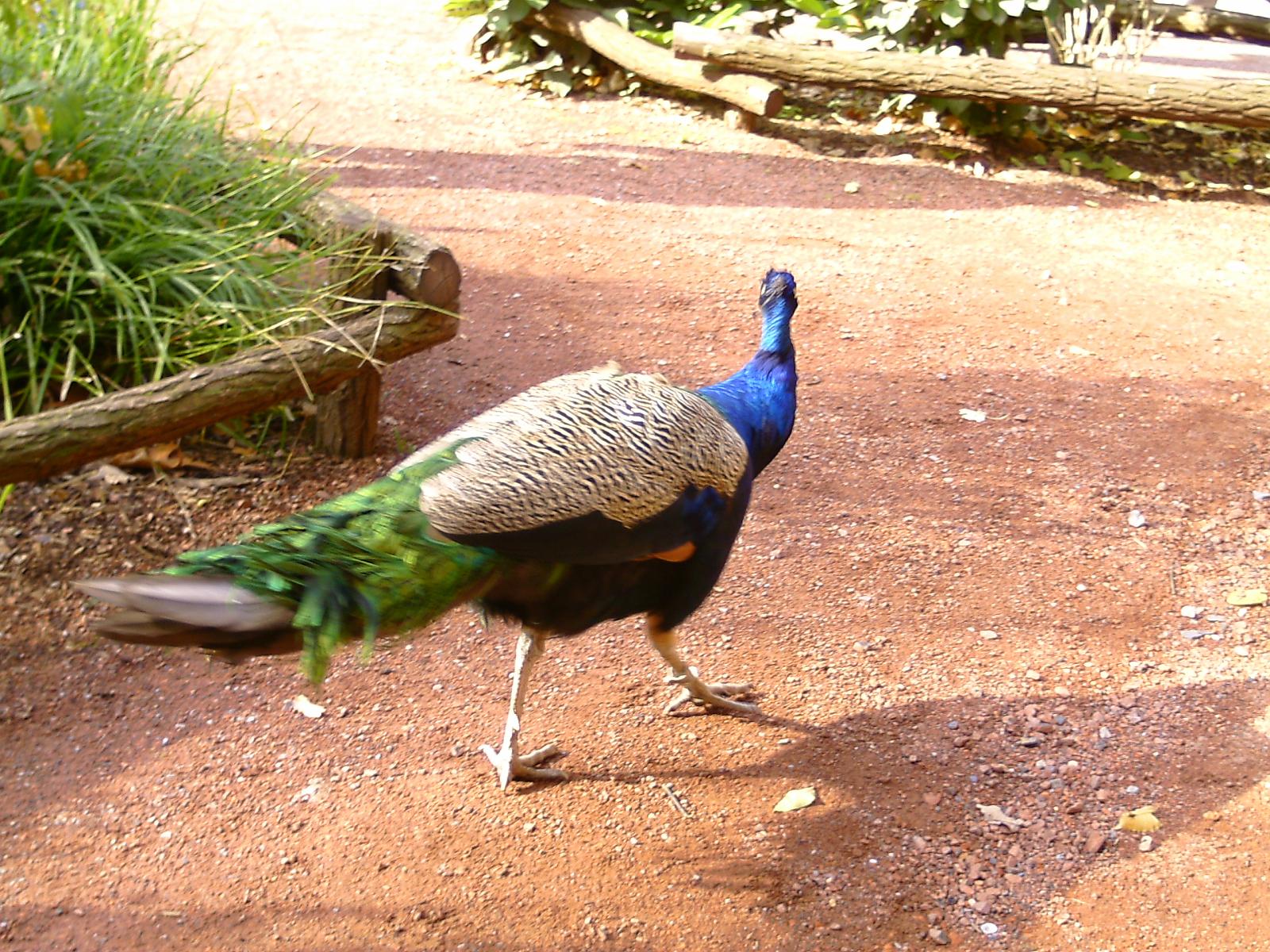 Zoom 18.10.08-076.jpg